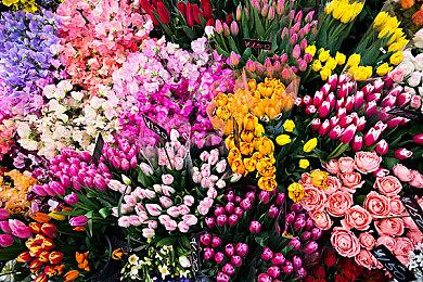 《叛逆AI模拟器》明年1月12日发售，本周开启封测