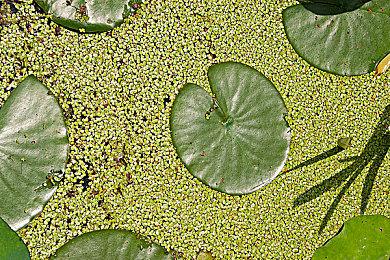 日本玩家票选期待游戏榜 《塞尔达传说：王国之泪》登顶